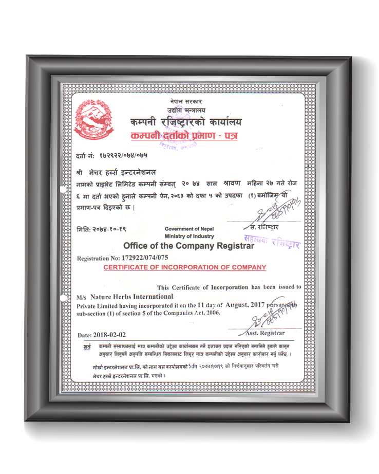 Certificate of Incorporation of Company